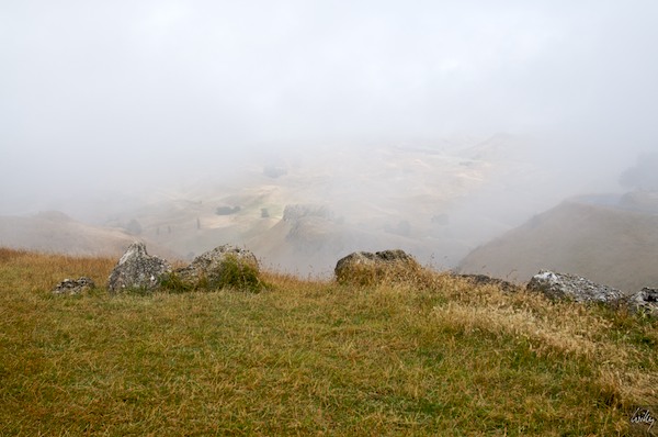 New Zealand 09 10  103